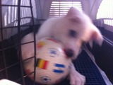 2012331うるる4