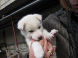 2012228センター3