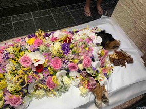 IMG_9351