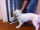 2012331うるる3