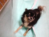 20121031リーベ3