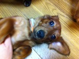 2011725むーにん2