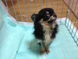 20121031リーベ2