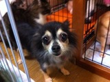 2012227みーな