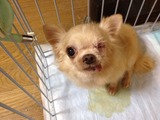 2013117おとね