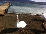 2012219山中湖