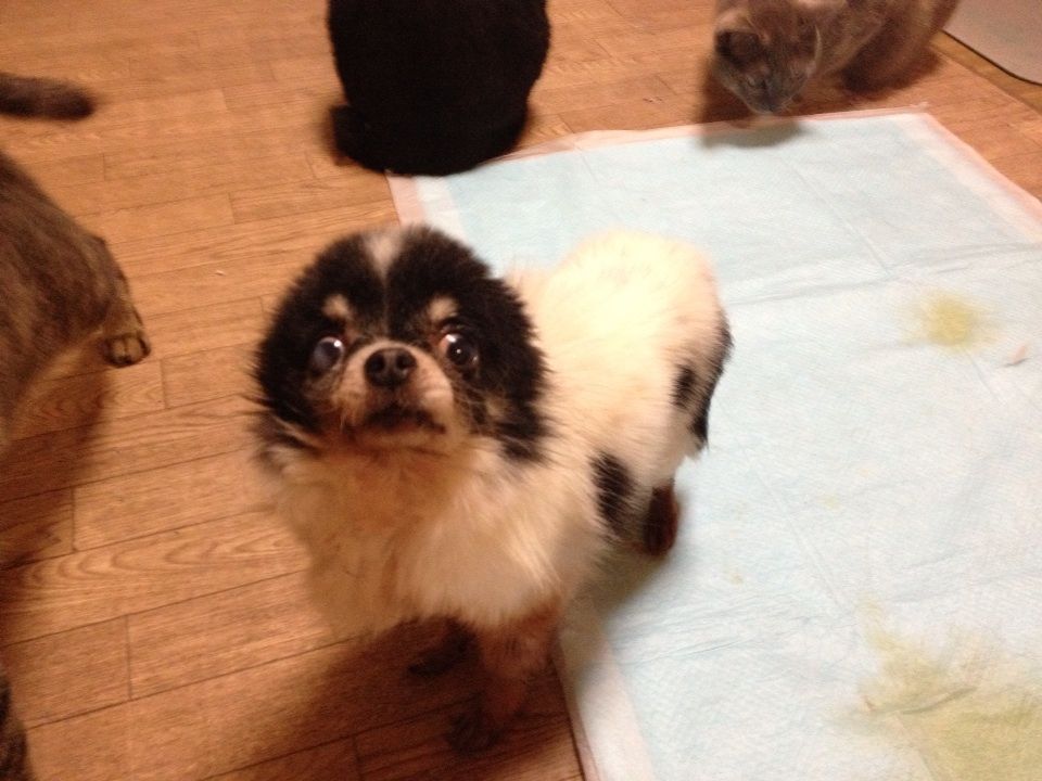 画像2