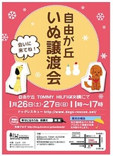20131ポスター