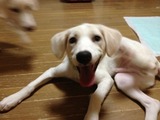 2013915ゆうさく