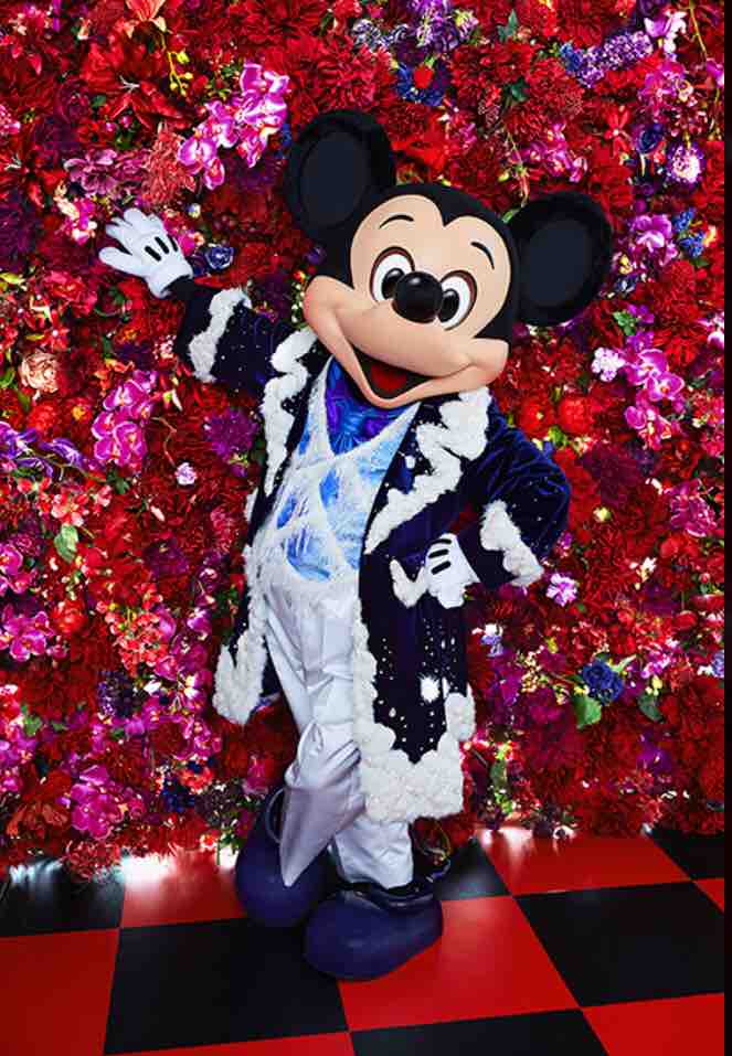 ついに イマジニング ザ マジック にミッキーとドナルドがー 子供と楽しむディズニー備忘録