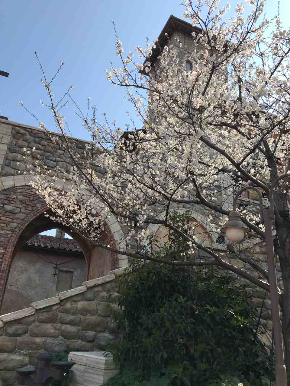 暑くてショー待ちが辛い 子供と楽しむディズニー備忘録