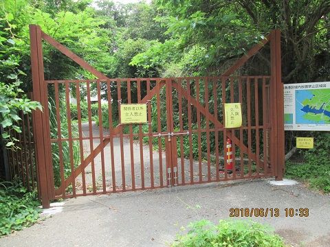 イメージ 4