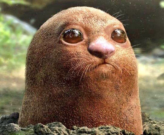 ポケモン 実写ディグダがキモすぎるｗｗｗｗｗｗｗ おしキャラっ 今流行りのアニメやゲームのキャラクターのオモシロ情報をまとめるサイトです