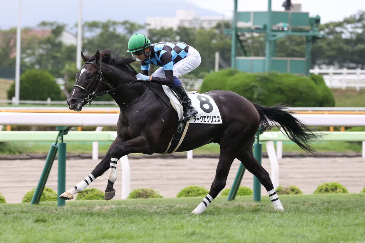 無事で 競走馬 ダークエクリプス ちゃんと父の気性を受け継いでたｗｗｗｗｗ よかった おしキャラっ 今流行りのアニメやゲームのキャラクターのオモシロ情報をまとめるサイトです