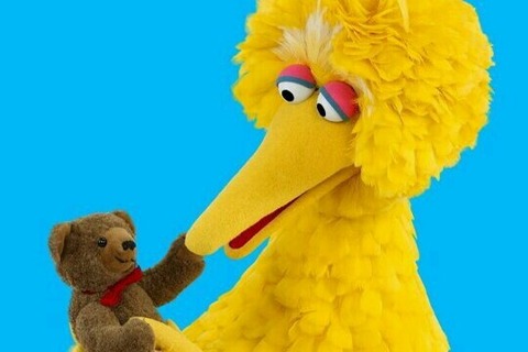 bigbird