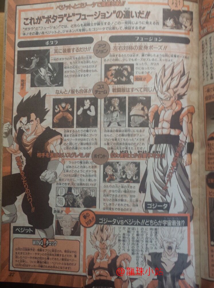 ドラゴンボール超 ポタラ合体が一時間で解除される スタッフ原作読んでないんか おしキャラっ 今流行りのアニメやゲームのキャラクターのオモシロ情報をまとめるサイトです ドラゴンボール超 ポタラ合体が一時間で解除される スタッフ原作読んでないんか おしキャラっ 今流行りのアニメやゲームのキャラクターのオモシロ情報をまとめるサイトです