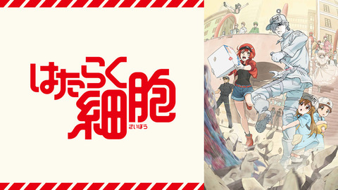 hatarakusaibou_anime