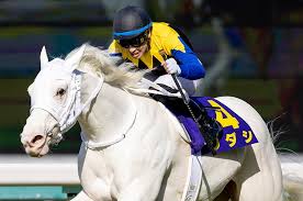 可愛いから 競走馬のソダシ オリコン写真集ランキングで3位になるwwwwwww 仕方ない おしキャラっ 今流行りのアニメやゲームのキャラクターのオモシロ情報をまとめるサイトです 可愛いから 競走馬のソダシ オリコン写真集ランキングで3位になるwwwwwww 仕方ない おしキャラっ 今流行りのアニメやゲームのキャラクターのオモシロ情報をまとめるサイトです