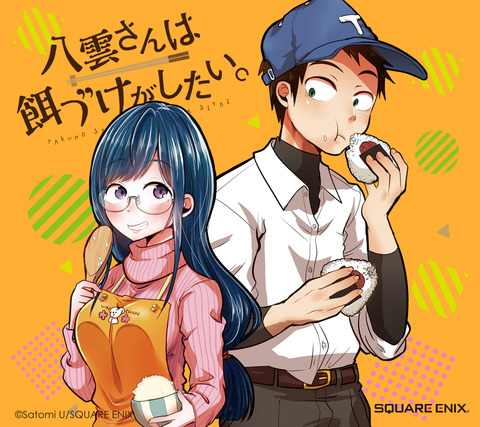 yakumosanhaedukegasitai