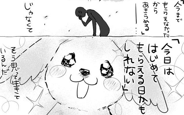 ツイッターで人気の漫画 犬と猫どっちも飼ってると 書籍化決定 6 13発売 おしキャラっ 今流行りのアニメやゲームのキャラクターのオモシロ情報をまとめるサイトです ツイッターで人気の漫画 犬と猫どっちも飼ってると 書籍化決定 6 13発売 おしキャラっ 今流行りのアニメやゲームのキャラクターのオモシロ情報をまとめるサイトです