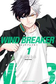 windbreaker