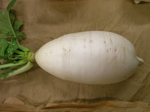 Daikon1