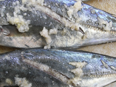 AglSakana3