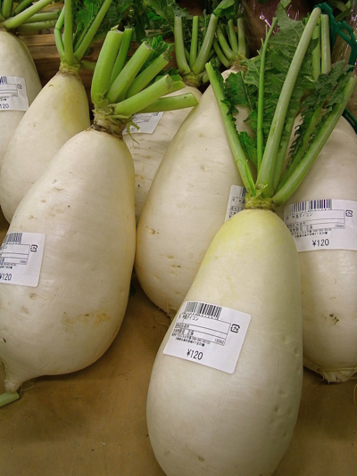 Daikon3