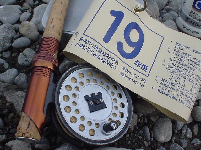 多摩川のマルタウグイ釣り マルタの花道