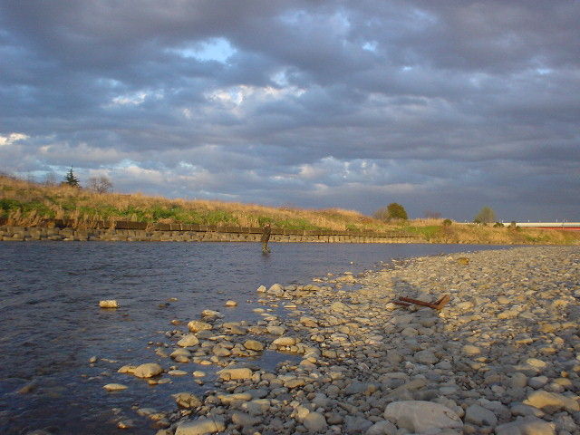 DSC06821