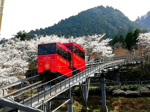 スロープカー桜