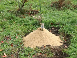 IMG_20201125_100826