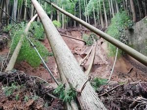 治山ダム左岸崩落