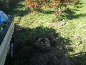 IMG_20201111_132727
