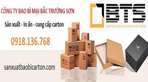 bao-bi-carton