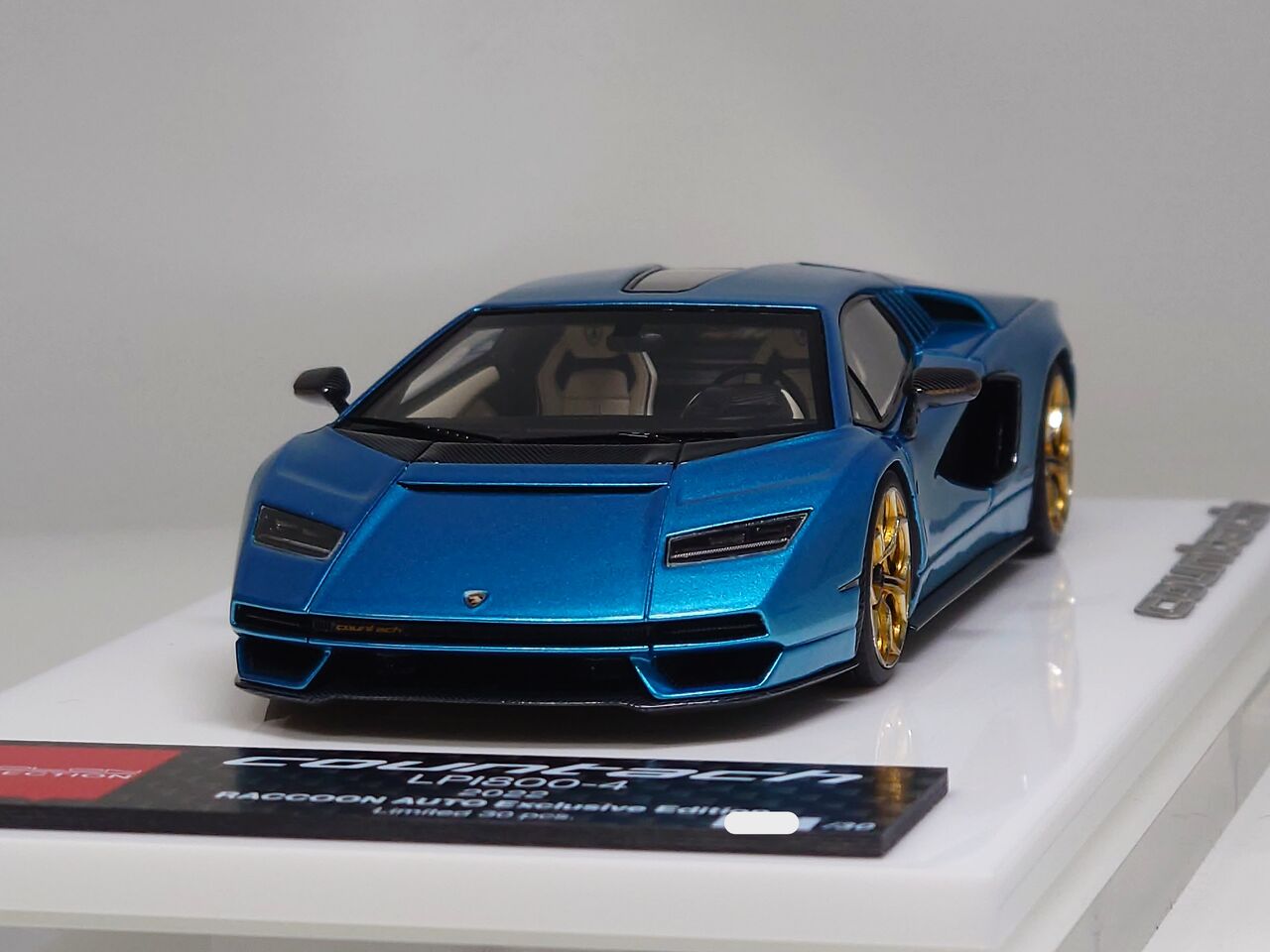 綺麗..-RACCOON AUTO Exclusive Edition- YOKOHAMA HOBBYFORUM 2025