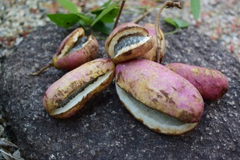 02e2c0d4671ff48a16a98fb86f1b6fc9_s