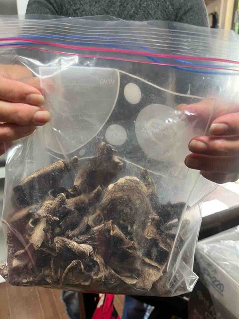 594F40DD-A56C-4C57-9D81-2ABD84700C4E