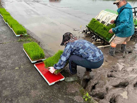 BABF54F2-5AD9-4735-9B4F-CC9D568EA9AB