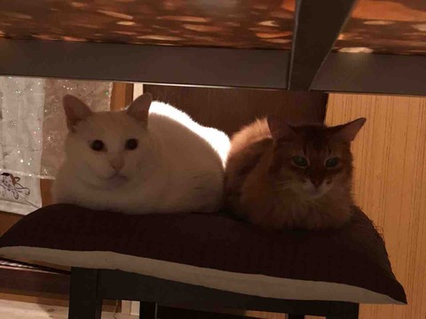 B9C2FE20-806E-4B61-B669-C6536B52EB13