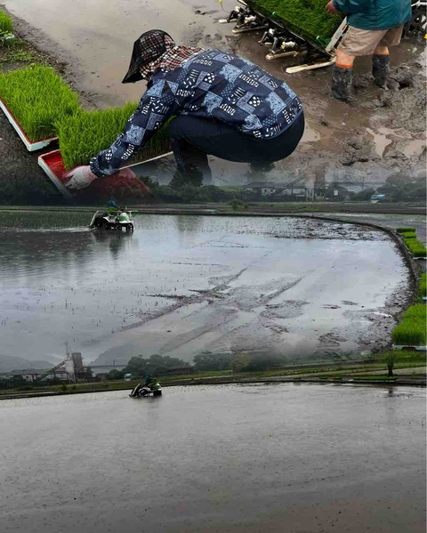 9E8979F2-A1D0-46B8-8173-8C017EE95E19