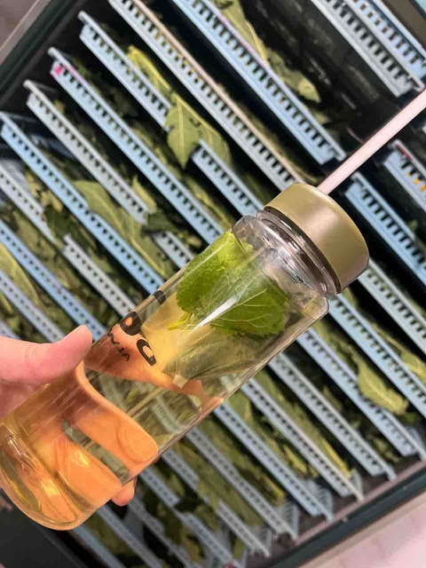 A161D9CF-8FC1-4730-925D-5973B139DD96