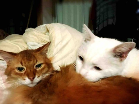 C8573E80-952A-4E3E-8276-2B6FBFBEAD2D