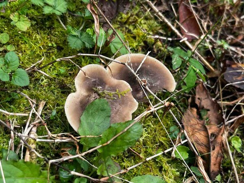 19BF5471-1FA2-4A2B-97F2-27760CBB3E2D