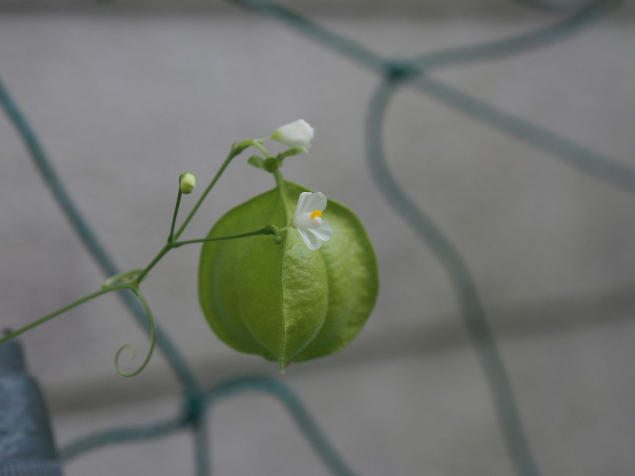 ｈａｐｐｙ ｄａｙ