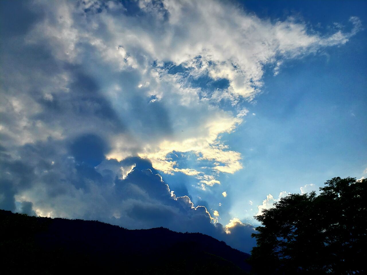 夕暮れの夏 の空と雲 薔薇おやじのブログ