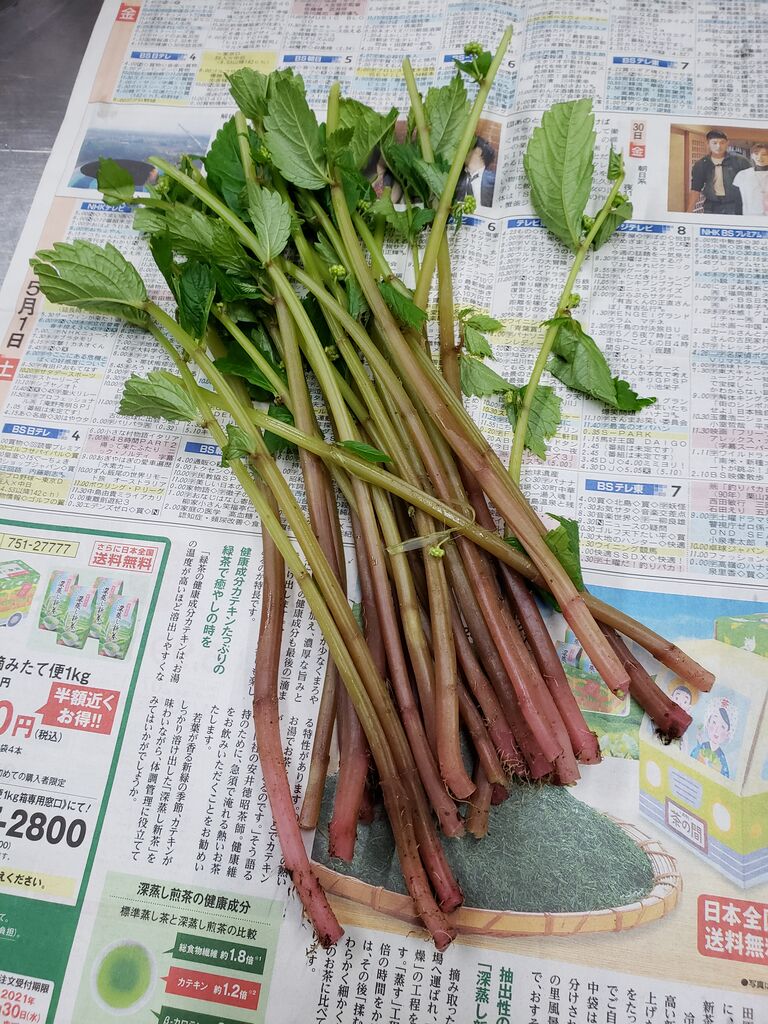 薔薇おやじのブログ