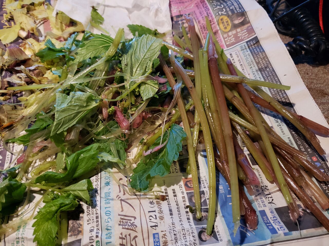 薔薇おやじのブログ