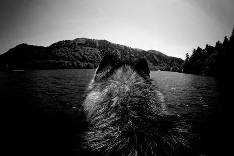 20200903_080304