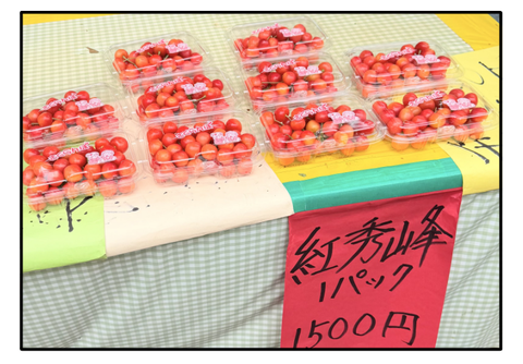 ADF260628A09